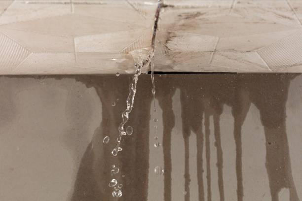 Professional Structural Drying technician working in Manistee, MI